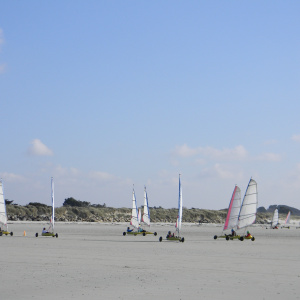 DSCN9782